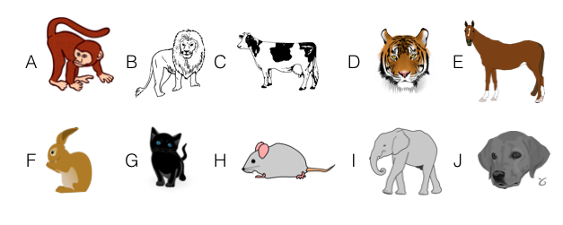 Animals vocabulary practice for Cambridge English: Key (Key English Test)
